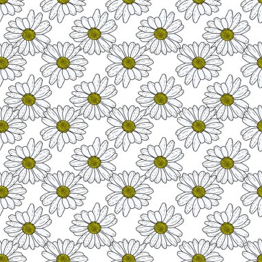 Vektör beyaz arka plan pembe papatya çiçekleri ve yabani çiçekler. Kusursuz desen arkaplanı