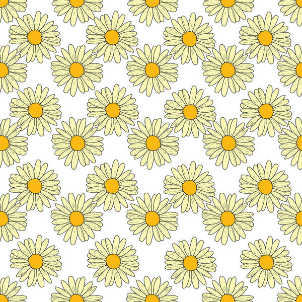 Векторный белый фон ромашки цветы, дикие цветы и бабочки, насекомые. Бесшовный фон