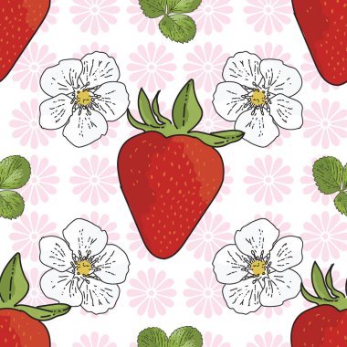 Vektör arka plan çilekleri, çilek çiçekleri, meyveler. Kusursuz desen arkaplanı