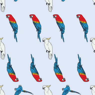 Vektör mavi arka plan tropikal kuşlar, papağanlar, papağanlar, egzotik papağan kuşları. Kusursuz desen arkaplanı