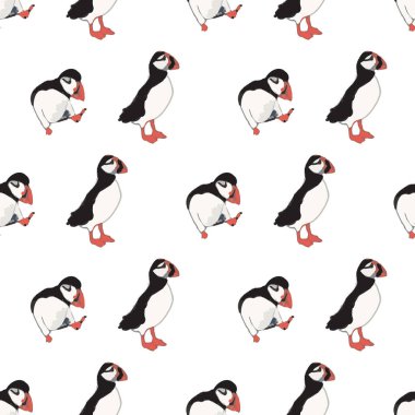 Vektör beyaz arka plan okyanus deniz kuşu, kutup kuşları, martılar. Kusursuz desen arkaplanı