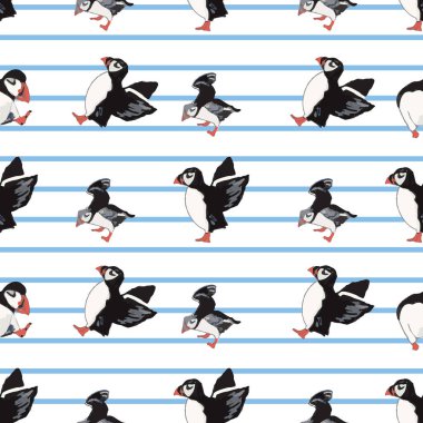 Vektör beyaz arka plan okyanus deniz kuşu, kutup kuşları, martılar. Kusursuz desen arkaplanı