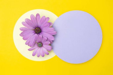 Sarı arka planda pembe çiçekler. Kart için parlak yerleşim.