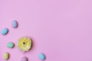 Çiçekler ve paskalya yumurtaları pembe arka planda.. 