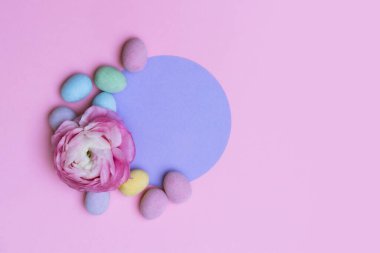 Çiçekler, paskalya yumurtaları ve pembe arka planda mor bir halka. Kopyalama arkaplanı. 