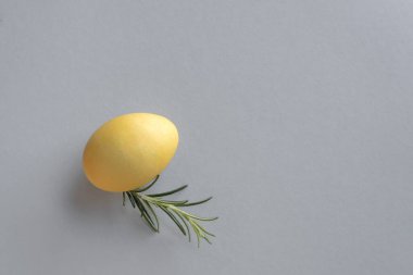 Gri arkaplanda sarı yumurta ve biberiye.. 