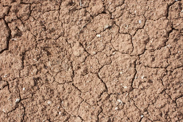 Dry ground with cracks background — Stock Photo, Image