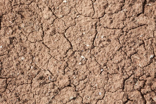 Dry ground with cracks seamless background