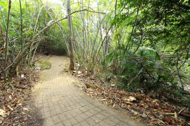 Bambu tünelde Chanthaburi Tayland at