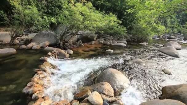 Водопад в Таиланде — стоковое видео