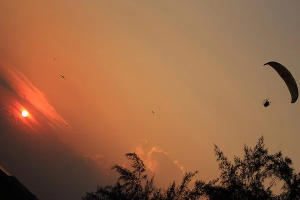 Paramotor ve günbatımı — Stok fotoğraf