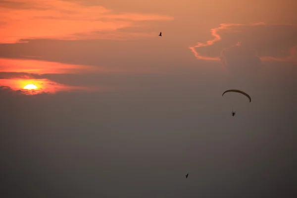 Paramotor and sunset — Stock Photo, Image