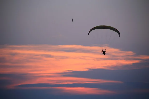 Paramotor and sunset — Stock Photo, Image