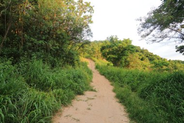 Kapalı yolun ortasında Rayong, Tayland