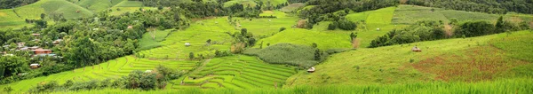 Panorama de terraços de arroz — Fotografia de Stock
