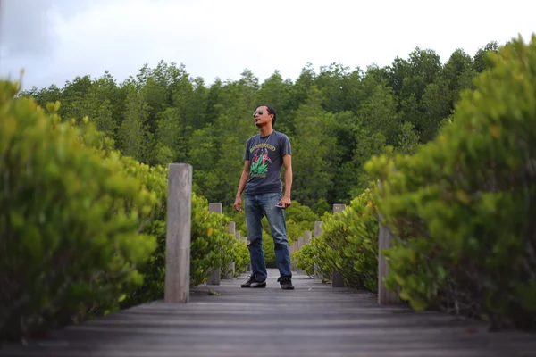 Man en wandelpad gemaakt uit hout en mangrove veld — Stockfoto