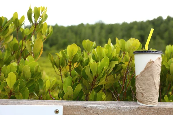 Tazza di carta e mangrovia dorata . — Foto Stock