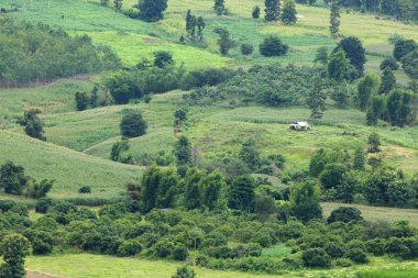 Çiftçiler dağlarda