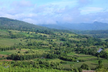 Mae Chaem pirinç terasları