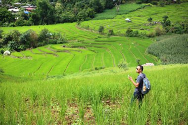 Adam ve pirinç terasları