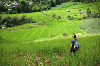 Adam ve pirinç terasları