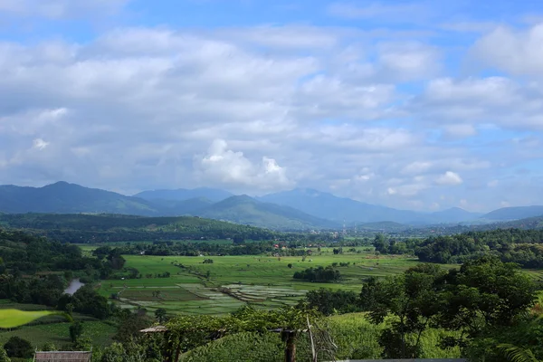 Reisterrassen in mae chaem — Stockfoto