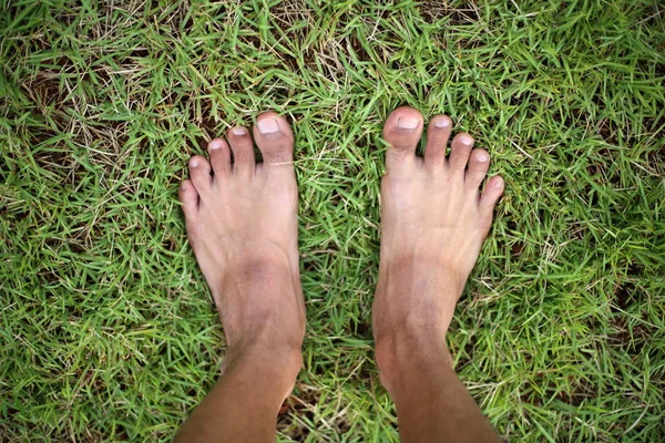Feet on grass — Stock Photo, Image