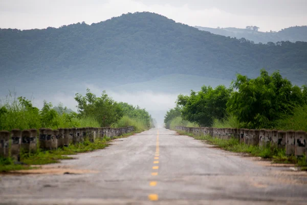 Carretera y hierba — Foto de Stock