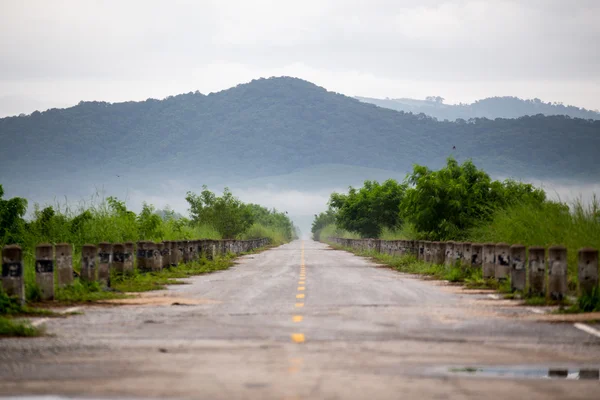 道路や草 — ストック写真