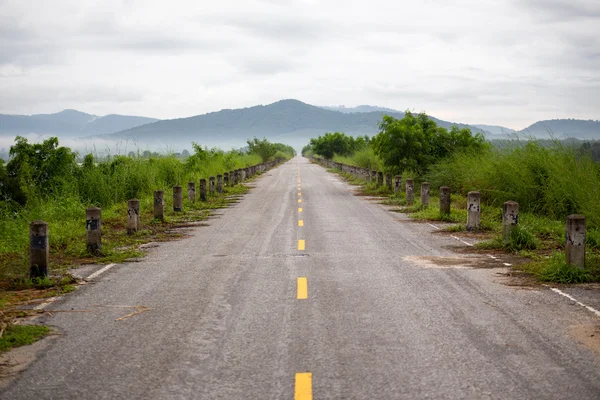 Carretera y hierba — Foto de Stock