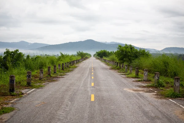 道路や草 — ストック写真