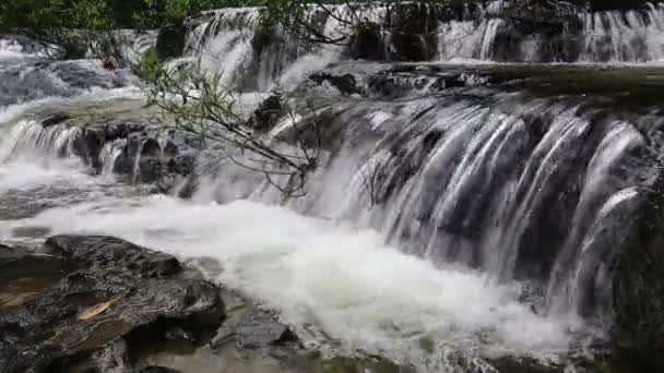 Huay Luang şelale Ubonratchathani Tayland at — Stok video