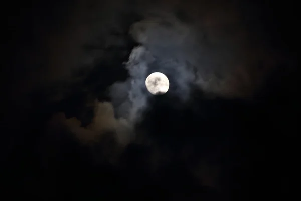 Full Moon Wolf Stock Photos Royalty Free Full Moon Wolf Images Page 2 Depositphotos