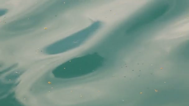 蓝色的水在罗勇 — 图库视频影像
