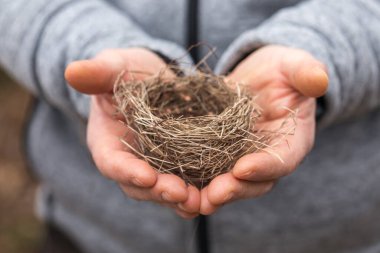  Kuşlar insan avuçlarına yuva yapar. Doğa koruma kavramı.