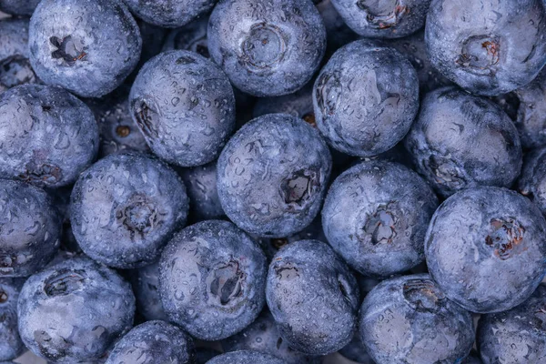 Mirtilos close-up com gotas de água, fundo de comida, fundo de mirtilos — Fotografia de Stock