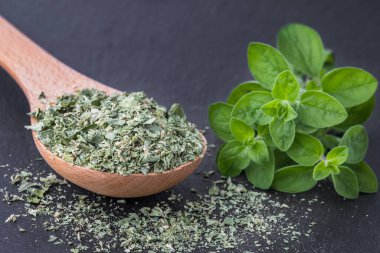 Siyah arka planda kurutulmuş marjoram, taze mercanotu yaprakları, baharat.