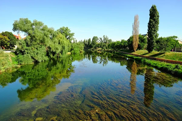 Крішул Repede річка в м. Орадеа, Румунія Стокове Зображення