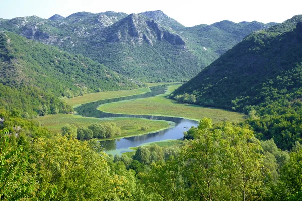 Rivier In Montenegro — Stockfoto