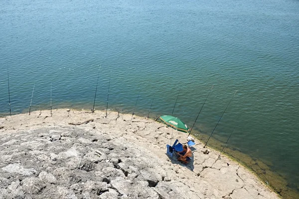 Rangée de cannes à pêche sur le lac Skadar, Monténégro — Photo