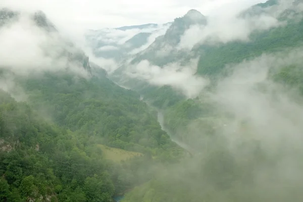 Tara River Canyon In The Clouds And Morning Mist, Serbia — Stock Photo, Image