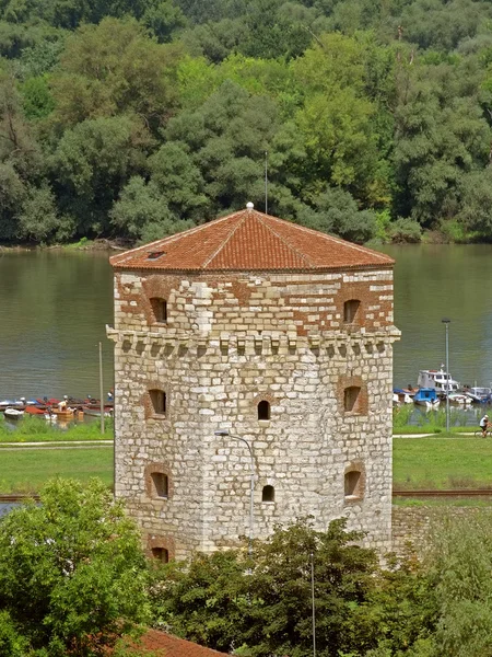 Torre Nebojsa Fortaleza de Kalemegdan, Belgrado —  Fotos de Stock