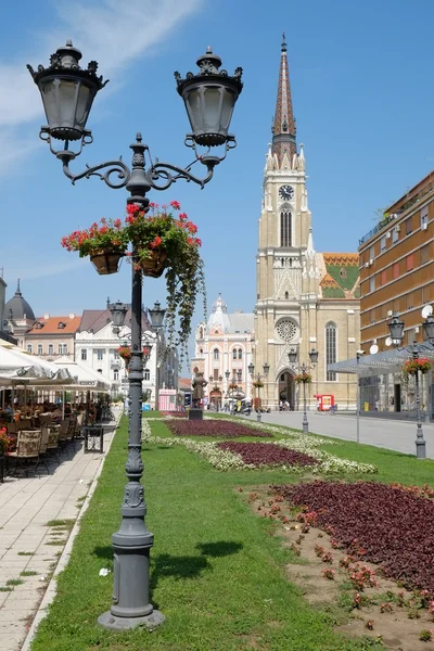 Starym stylu ulicy światła i katolickiej katedry w głównym placu z Novi Sad — Zdjęcie stockowe