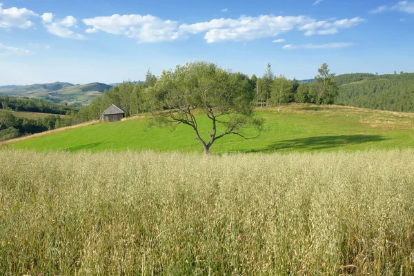 Escena de país en Serbia — Foto de Stock