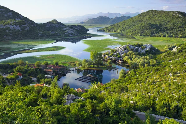 호수 Skadar 국립 공원, 몬테네그로 — 스톡 사진