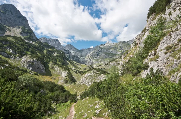 Valley Durmitor National Park, Montenegro — Stock Photo, Image