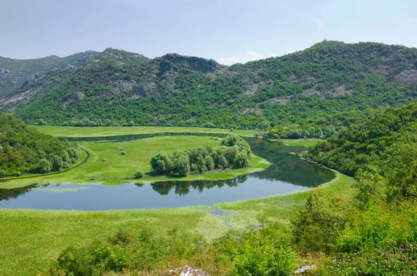 Crnojevica River är en flod i Skadar sjön, Montenegro — Stockfoto