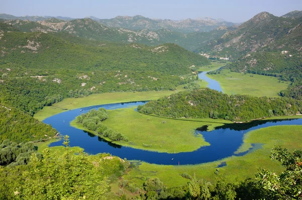 湖スカダー国立公園: Crnojevica 川、モンテネグロ — ストック写真