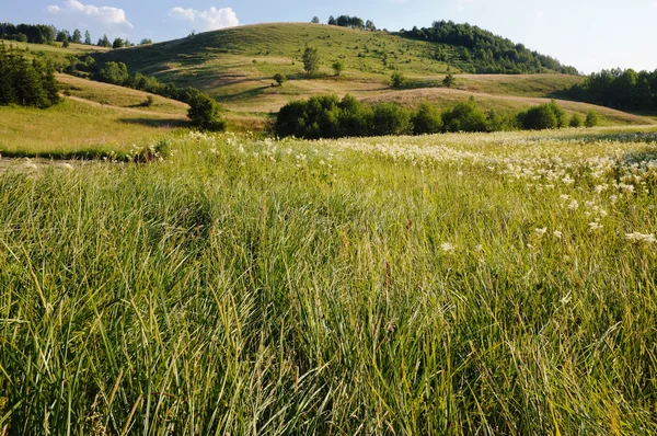 Ländliche Landschaft in Serbien — Stockfoto