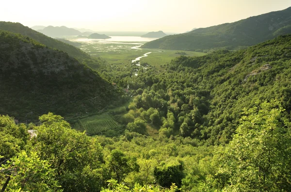 Sjön Skadar National Park, Montenegro — Stockfoto